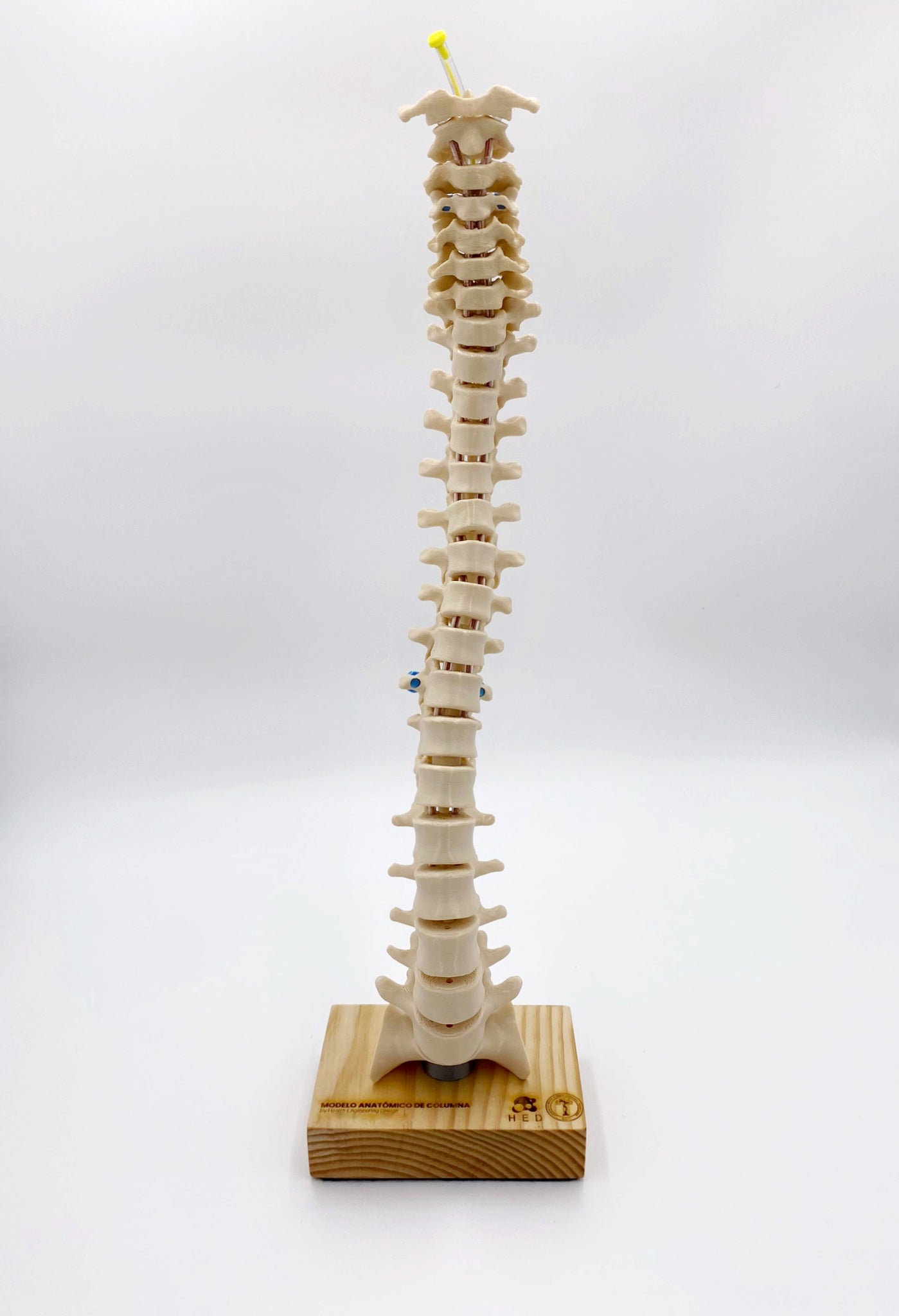 Modelo de Columna